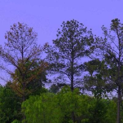 ag真人国际官网