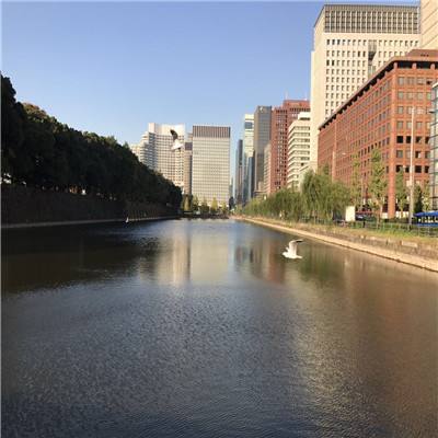 BB贝博平台登录app下载手机版